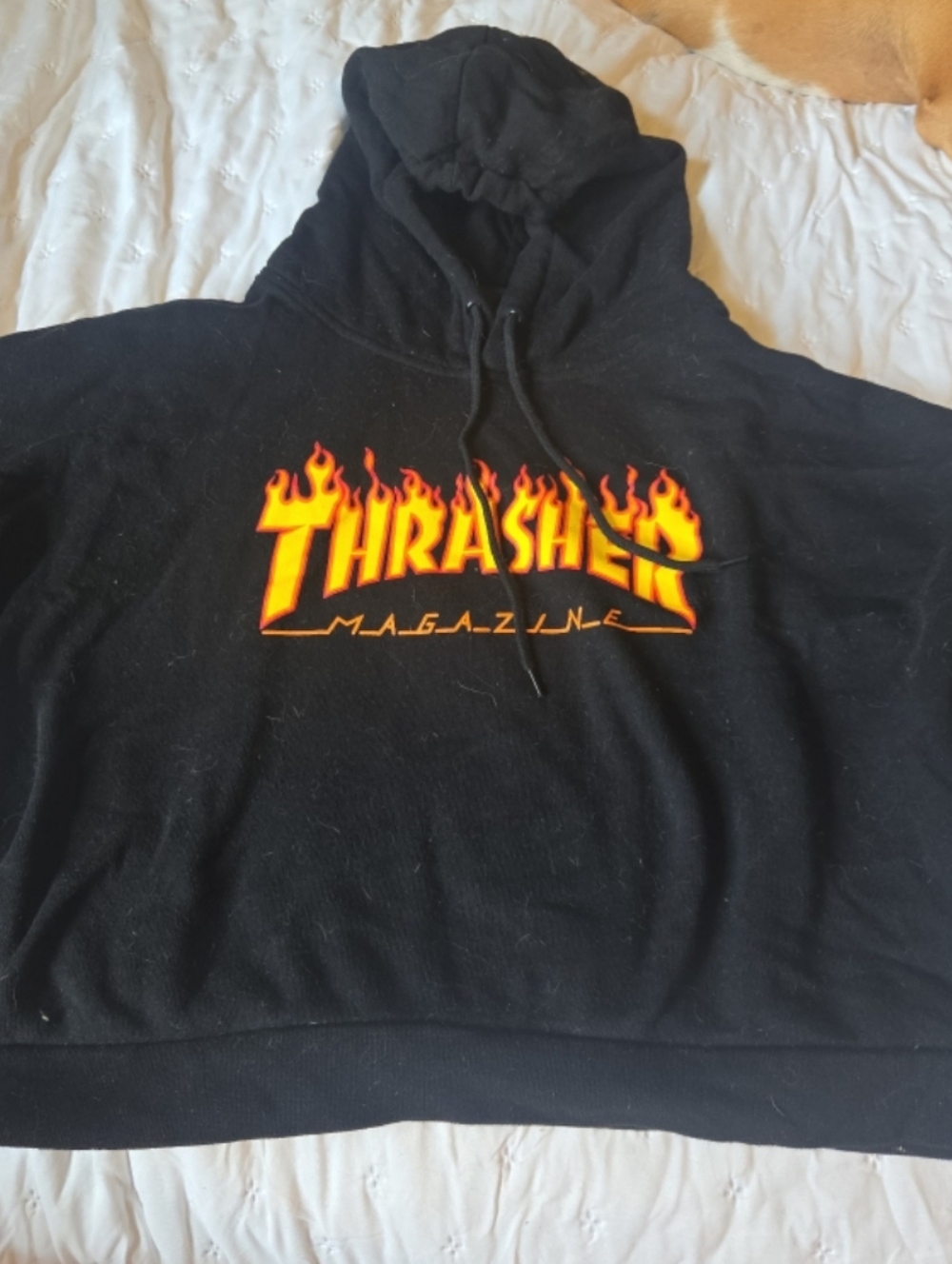 Thrasher Cropped Hoodie